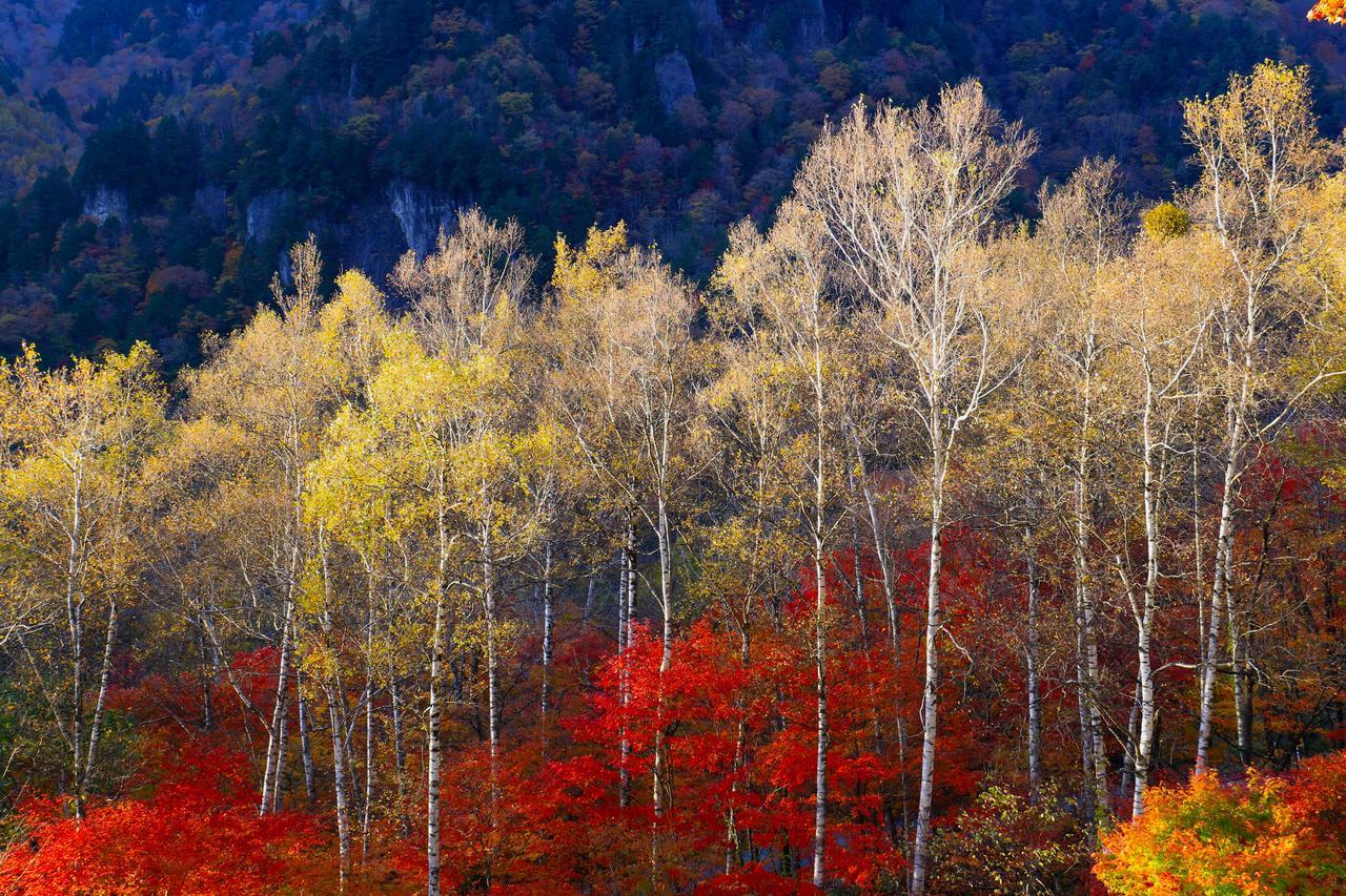 Nakao Kogen Hotel Kazaguruma Takajama Kültér fotó
